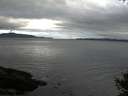 ./images/koeye/fitz-hugh/20141009/fitz-hugh20141009_091002.jpg