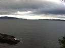 ./images/koeye/fitz-hugh/20141009/fitz-hugh20141009_094502.jpg