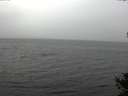 ./images/koeye/fitz-hugh/20141009/fitz-hugh20141009_125503.jpg