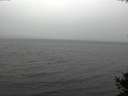 ./images/koeye/fitz-hugh/20141009/fitz-hugh20141009_130502.jpg