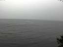 ./images/koeye/fitz-hugh/20141009/fitz-hugh20141009_133502.jpg