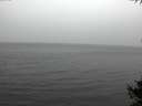 ./images/koeye/fitz-hugh/20141009/fitz-hugh20141009_134502.jpg