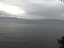 ./images/koeye/fitz-hugh/20141009/fitz-hugh20141009_141001.jpg
