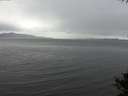 ./images/koeye/fitz-hugh/20141009/fitz-hugh20141009_145002.jpg
