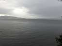 ./images/koeye/fitz-hugh/20141009/fitz-hugh20141009_150503.jpg