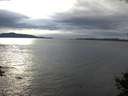 ./images/koeye/fitz-hugh/20141009/fitz-hugh20141009_160002.jpg