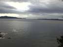 ./images/koeye/fitz-hugh/20141009/fitz-hugh20141009_160503.jpg
