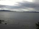./images/koeye/fitz-hugh/20141009/fitz-hugh20141009_162502.jpg
