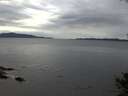 ./images/koeye/fitz-hugh/20141009/fitz-hugh20141009_163502.jpg
