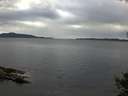 ./images/koeye/fitz-hugh/20141009/fitz-hugh20141009_170502.jpg