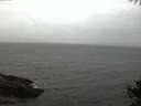 ./images/koeye/fitz-hugh/20141010/fitz-hugh20141010_072502.jpg