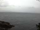 ./images/koeye/fitz-hugh/20141010/fitz-hugh20141010_080001.jpg