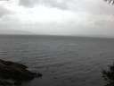 ./images/koeye/fitz-hugh/20141010/fitz-hugh20141010_080502.jpg