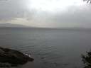 ./images/koeye/fitz-hugh/20141010/fitz-hugh20141010_081502.jpg