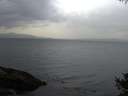 ./images/koeye/fitz-hugh/20141010/fitz-hugh20141010_082002.jpg