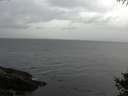 ./images/koeye/fitz-hugh/20141010/fitz-hugh20141010_083501.jpg