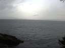 ./images/koeye/fitz-hugh/20141010/fitz-hugh20141010_090503.jpg