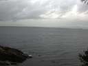 ./images/koeye/fitz-hugh/20141010/fitz-hugh20141010_091503.jpg
