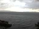 ./images/koeye/fitz-hugh/20141010/fitz-hugh20141010_094503.jpg