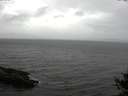 ./images/koeye/fitz-hugh/20141010/fitz-hugh20141010_101001.jpg