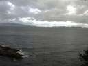 ./images/koeye/fitz-hugh/20141010/fitz-hugh20141010_104001.jpg