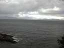 ./images/koeye/fitz-hugh/20141010/fitz-hugh20141010_104501.jpg