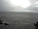 ./images/koeye/fitz-hugh/20141010/fitz-hugh20141010_114002.jpg