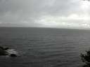 ./images/koeye/fitz-hugh/20141010/fitz-hugh20141010_115002.jpg