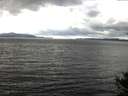 ./images/koeye/fitz-hugh/20141010/fitz-hugh20141010_141003.jpg