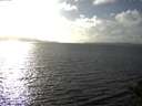 ./images/koeye/fitz-hugh/20141010/fitz-hugh20141010_161002.jpg