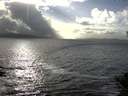 ./images/koeye/fitz-hugh/20141010/fitz-hugh20141010_163503.jpg