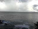 ./images/koeye/fitz-hugh/20141010/fitz-hugh20141010_172002.jpg