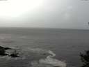 ./images/koeye/fitz-hugh/20141010/fitz-hugh20141010_172501.jpg