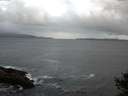 ./images/koeye/fitz-hugh/20141011/fitz-hugh20141011_081002.jpg