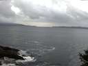 ./images/koeye/fitz-hugh/20141011/fitz-hugh20141011_082001.jpg
