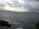 ./images/koeye/fitz-hugh/20141011/fitz-hugh20141011_083502.jpg
