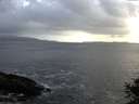 ./images/koeye/fitz-hugh/20141011/fitz-hugh20141011_094502.jpg