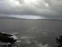 ./images/koeye/fitz-hugh/20141011/fitz-hugh20141011_100002.jpg