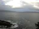 ./images/koeye/fitz-hugh/20141011/fitz-hugh20141011_102001.jpg