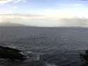 ./images/koeye/fitz-hugh/20141011/fitz-hugh20141011_104002.jpg