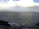 ./images/koeye/fitz-hugh/20141011/fitz-hugh20141011_104501.jpg