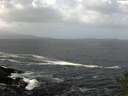 ./images/koeye/fitz-hugh/20141011/fitz-hugh20141011_105502.jpg