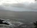 ./images/koeye/fitz-hugh/20141011/fitz-hugh20141011_110502.jpg