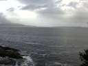 ./images/koeye/fitz-hugh/20141011/fitz-hugh20141011_112002.jpg