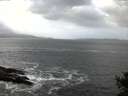 ./images/koeye/fitz-hugh/20141011/fitz-hugh20141011_113502.jpg