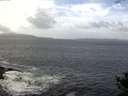 ./images/koeye/fitz-hugh/20141011/fitz-hugh20141011_115002.jpg