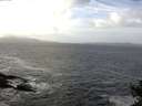 ./images/koeye/fitz-hugh/20141011/fitz-hugh20141011_120503.jpg