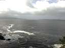./images/koeye/fitz-hugh/20141011/fitz-hugh20141011_121502.jpg
