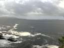 ./images/koeye/fitz-hugh/20141011/fitz-hugh20141011_122003.jpg