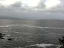 ./images/koeye/fitz-hugh/20141011/fitz-hugh20141011_125002.jpg
